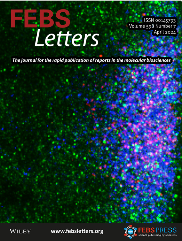 🔔New issue online! 🏛️EU-LIFE Charter of Independent Life Science Research Institutes 📷 Review: Detection of protein-protein interactions 🖼️On the cover: Tudor forms structurally different configurations with different partner proteins Read it here ➡️ rb.gy/f7hufh