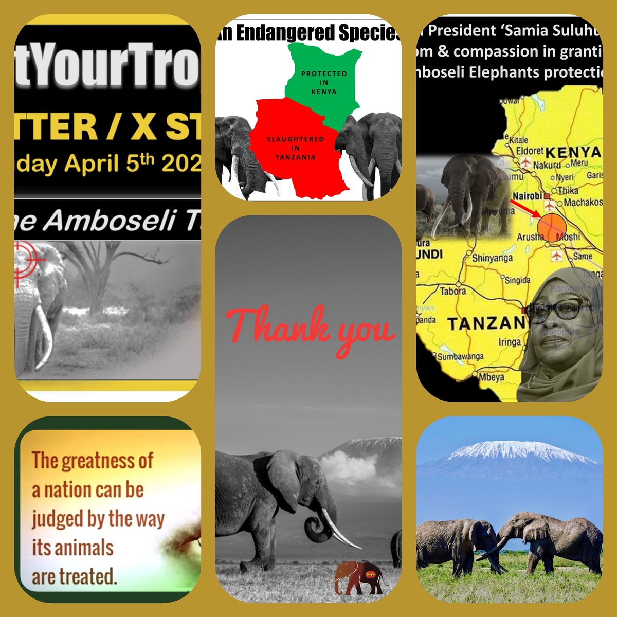 #NotYourTrophy Dear Elephant🦣Friends The TWEETSTORM for the #AmboseliTuskers was a big appearance on TwitterX & attracted a lot of attention. I'm sure the message reached those responsible. An elephantastic ThankYou to all participants. We'll stay tuned... Together ❤🤜🏼🦣🤛🏼❤