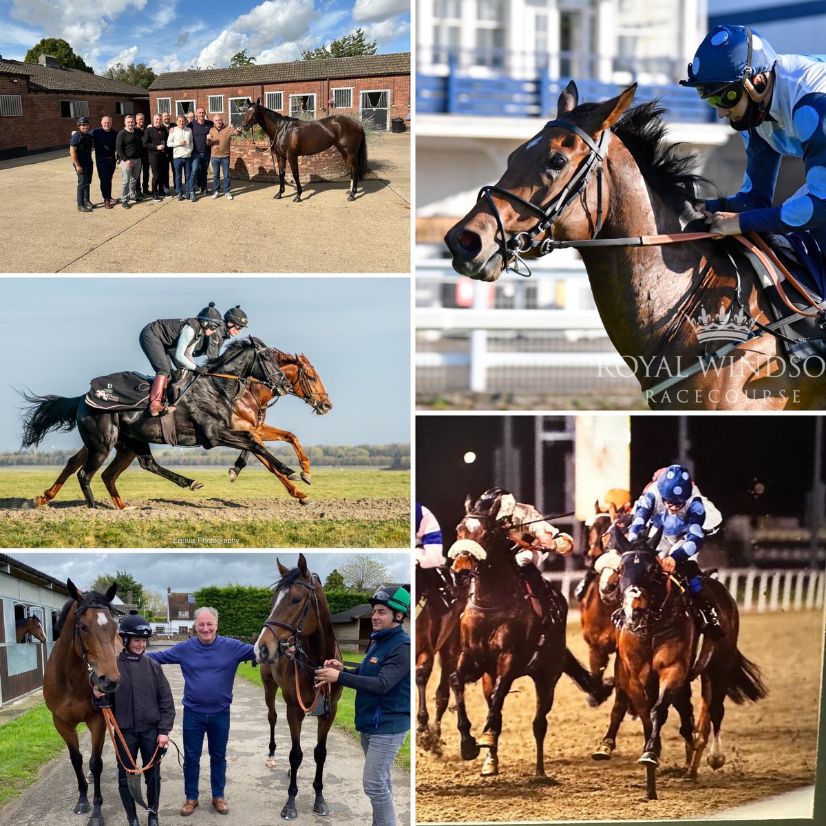 Eclipse Sports Racing Club an affordable opportunity to be involved in the thrills of racehorse ownership