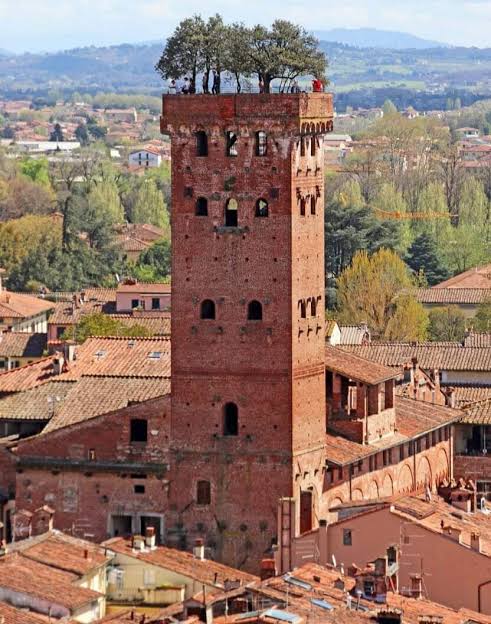 Torre Guinigi, one of the few tower houses that were built in Lucca, Tuscany, Italy. It is typical example of local Romanesque-Gothic architecture. The tower was first constructed somewhere around 1384 AD, by rich silk merchants. Tower is the part of the palazzo that belonged to