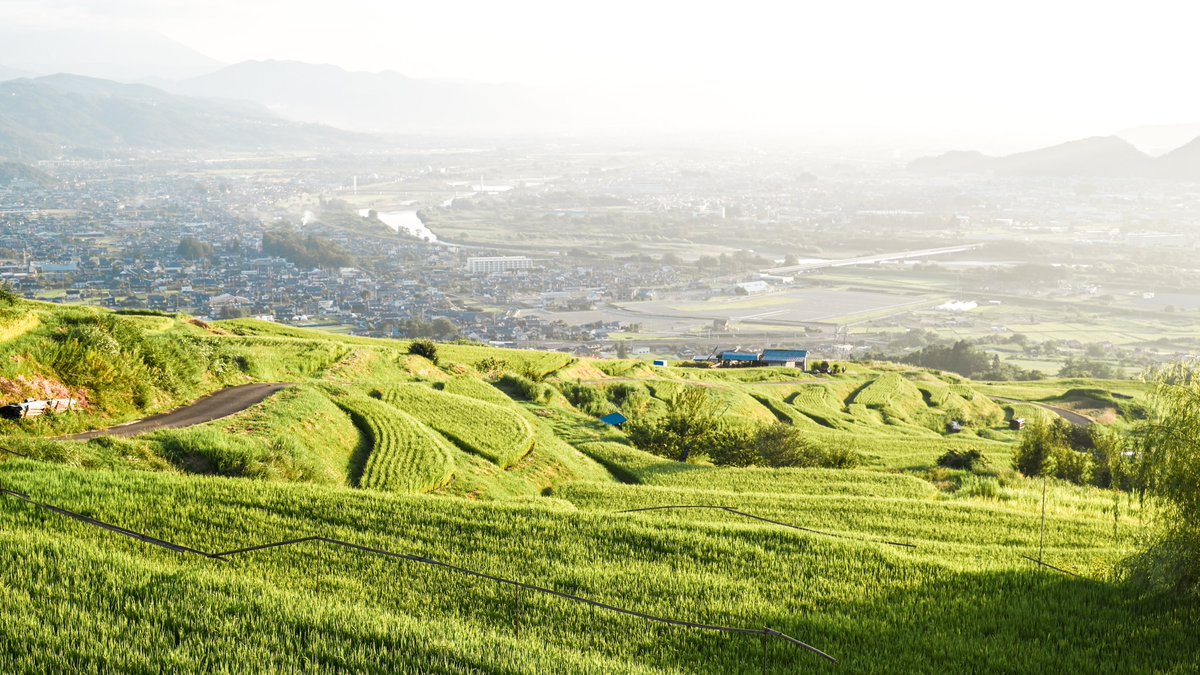 住む地域や環境が変わっても、写真はずっと撮り続けていきたい。写真は好き、でもそれよりも実際に足を運んで風や香りを楽しんだり、街の歩く中で気付く発見、その体験の方をもっとだいじにしたい。そして何よりも、旅の中で出会う人は私にとってかけがえのない財産です。