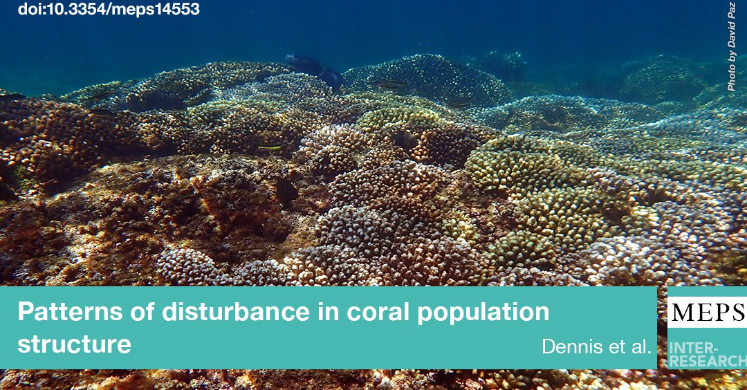 MEPS_IR's tweet image. Isolation by distance or environment are the typical models many species follow as their genetic differentiation patterns, however, there may be evidence that #disturbance could also be an influencing factor shaping #GeneticStructure in #CoralPopulations
bit.ly/meps_733_43