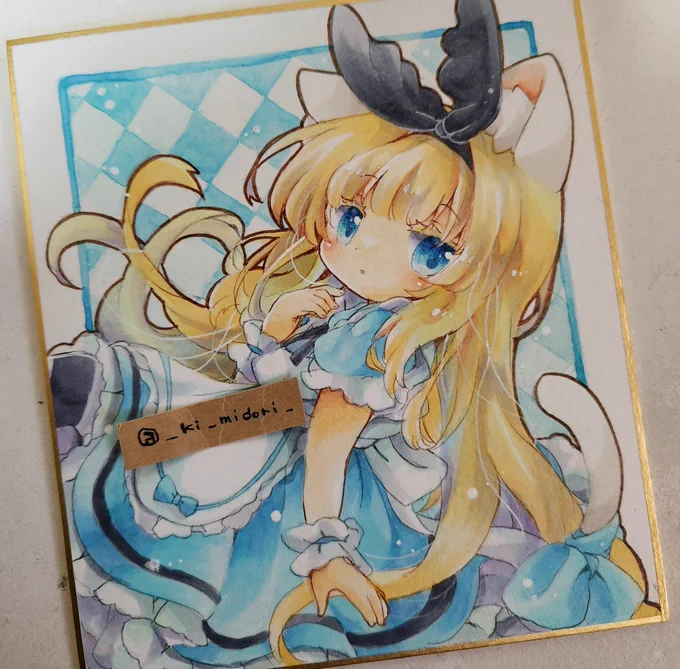 白猫アリスちゃんー 