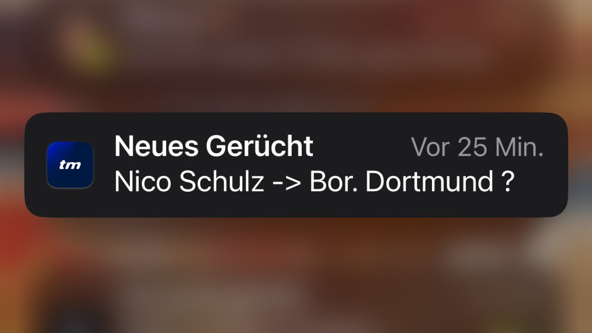 Lars || BSC YB tweet media