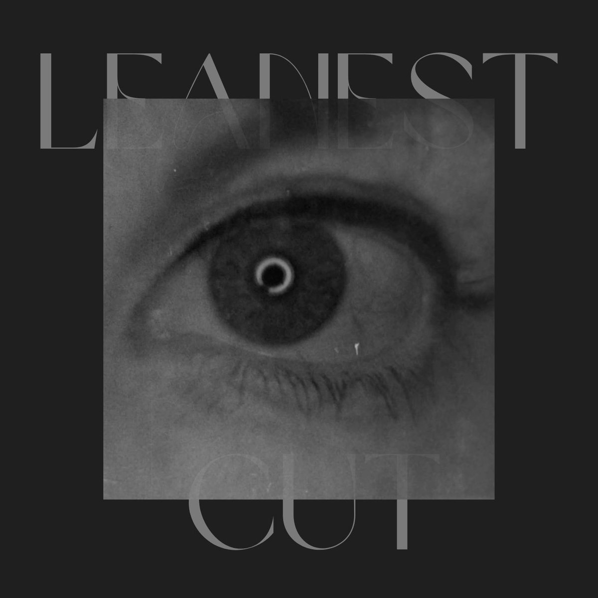 occultation.bandcamp.com/track/leanest-…. From Uneven Ground, the third album by Death And The Maiden, joint release with <a href="/FishriderNZ/">fishrider records</a> this (N. Hemisphere) spring/summer.