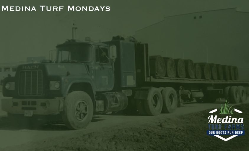MedinaTurf's tweet photo. -Our Roots Run Deep-

While this saying is a reference to our quality turf grass. It also represents our farms rich history and reputation. Having opened up doors in the 1960's we operated under Medina Sod. However in 2018 we rebranded into what is now known as Medina Turf Farms https://t.co/AG9CWpnvYK