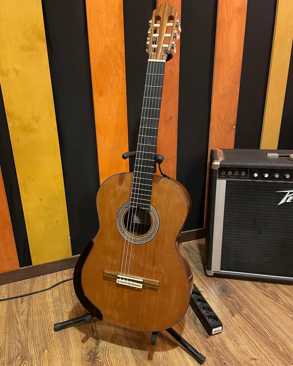 Hi everyone! A process of recording of our new single is at full blast. Thus we just recorded  wonderful Valeria Semenenko playing her part bringing passacal mood with one's awesome acoustic guitar into all music canvas of the intro for the five voices motet