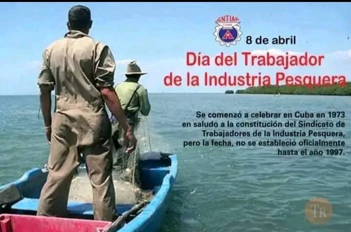 #ArtemisaJuntosSomosMás