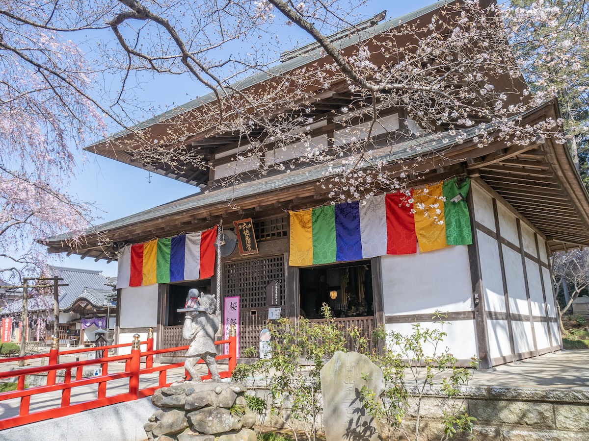 wata_ibamemo's tweet photo. #水戸市

先週の六地蔵寺。樹齢約200年の枝垂れ桜が名物です。水戸黄門が鑑賞した桜の子にあたるのだとか。早めの時間にお伺いしたのですが、すでに境内には大勢の参拝者が。やっぱり水戸の桜といえばここは欠かせませんよね！ https://t.co/m3tezemtZ5