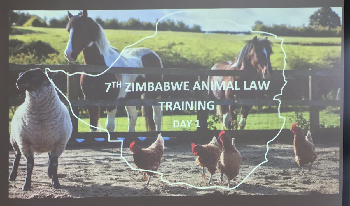 Speak Out For Animals tweet media