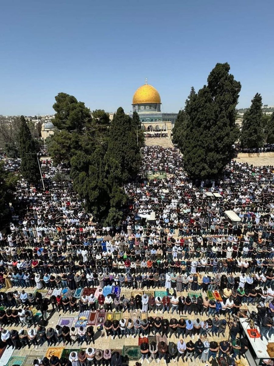 FaizaMajid16's tweet photo. #EidWithGaza https://t.co/gLTLnTMT6x