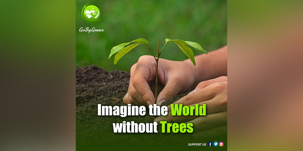 Plant Trees 🌳, Save the World 😇

#GoByGreen #gobygreenoff #GoByHolidays #gogreen #environment #plants #plantlife #plantation #saveforest #savetrees #saveearth #gogreen #nature #savetheplanet #ecofriendly #savewater #earth #climatechange #zerowaste #savenature #plasticfree