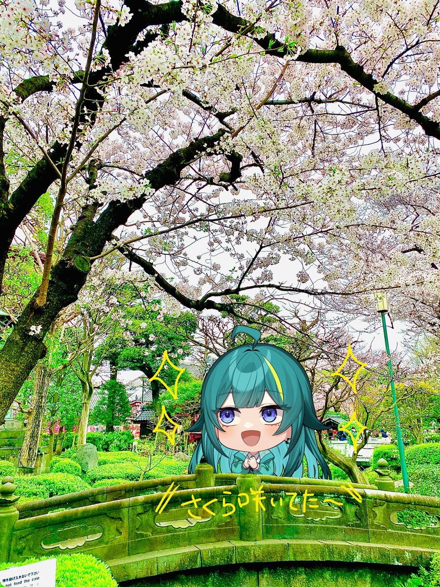 Yoi_PFF's tweet photo. おまたせぇい！！！！

これが桜だいっ！！！！！！笑
やっとこどっこいしょ桜と一緒に写真撮りました✌️🐸🌸

ヨイの好きな緑色も少しあっていい感じ🥰
みんなはもうお花見したかなー？？
ヨイはちゃーーーーんと(？)
お団子🍡も食べたヨイ😋

 #お花見  #おやすみVライバー 
 #おやすみVtuber https://t.co/b8mgCFjfYf