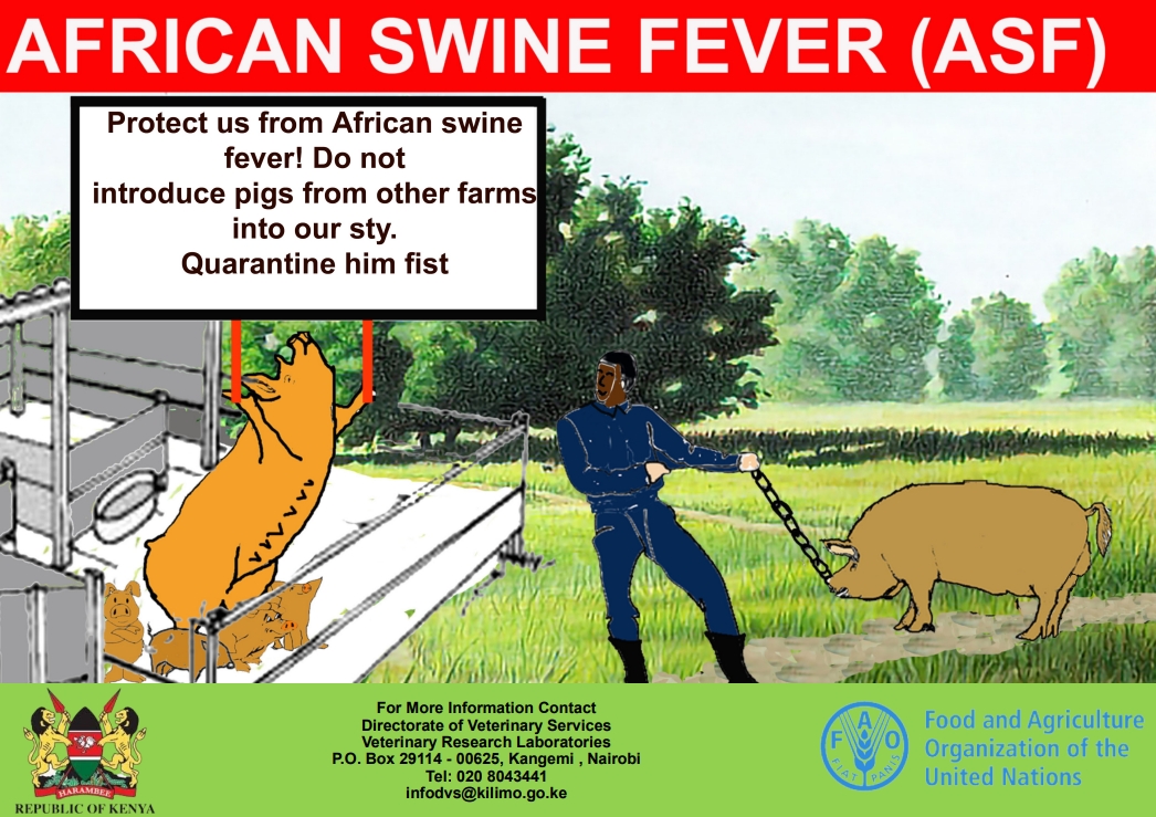 African Swine Fever (ASF) Awareness. #Diseasecontrol