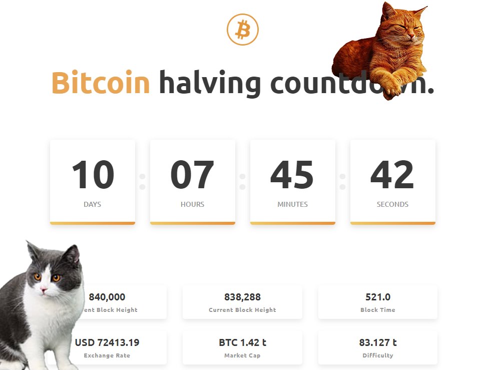 BTC rides the wave, with only 1k away from ATH. #BitcoinHalving2024 is just around the corner, and the memecoin #catamoto is having its launch around the same time as #Bitcoin halving. Coincidence? Not likely. And things are about to get even spicier.