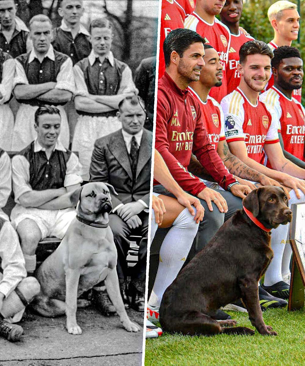 The Arsenal squad photo in 1936 with their mascot, Gunner, at Highbury. The Arsenal squad photo in 2023 with their mascot, Win, at London Colney. History. Tradition. Class. [@TheN5News]