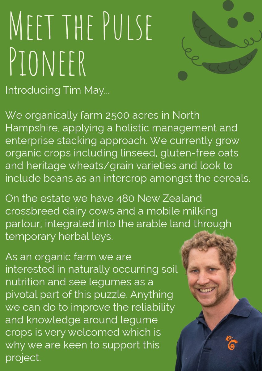 MEET THE PULSE PIONEER 😁🌱

Introducing @Tim_kingsclere -  an organic farmer in North Hampshire. Tim has joined The NCS Project with the aim of helping to improve reliability and knowledge around pulses! Read more below ⬇️