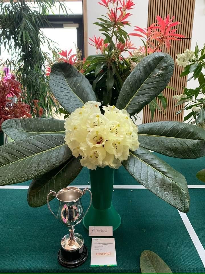 Windsor Great Park tweet media