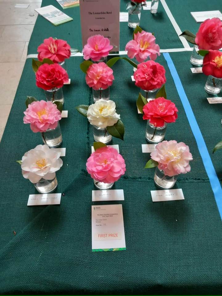 Windsor Great Park tweet media