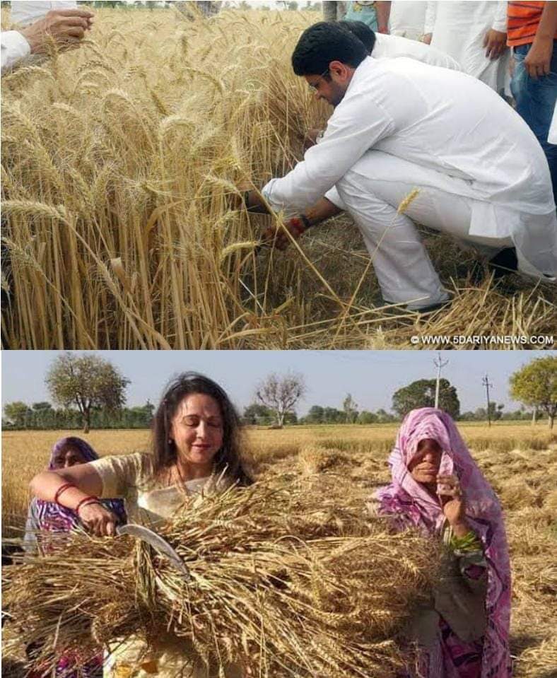 HarishC08036533's tweet photo. ये कब बन गया किसानो का हितेसी 
@Dchautala https://t.co/XjFgus6QnO