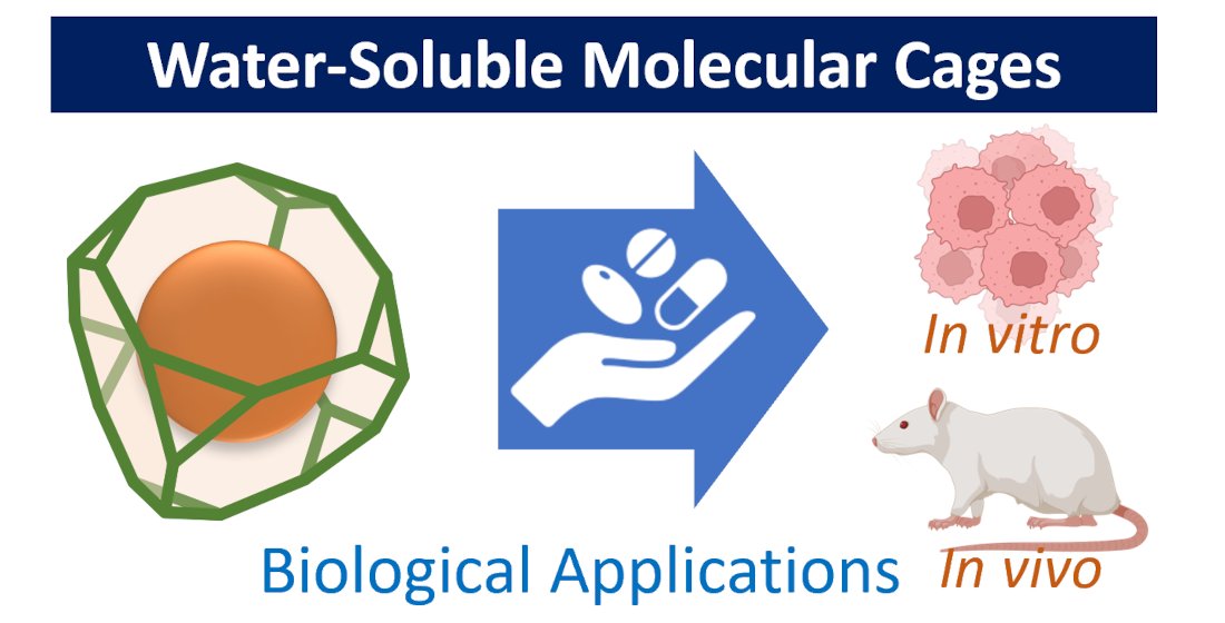 👀Check this review: Water-Soluble #MolecularCages for #BiologicalApplications
🧪This review by @vtemarticent et al. from @IDM_UPV_UV and @UPV analyses key factors to achieve water solubility in cages.
🔗Read it here: doi.org/10.3390/molecu…
#supramolecularchemistry #review