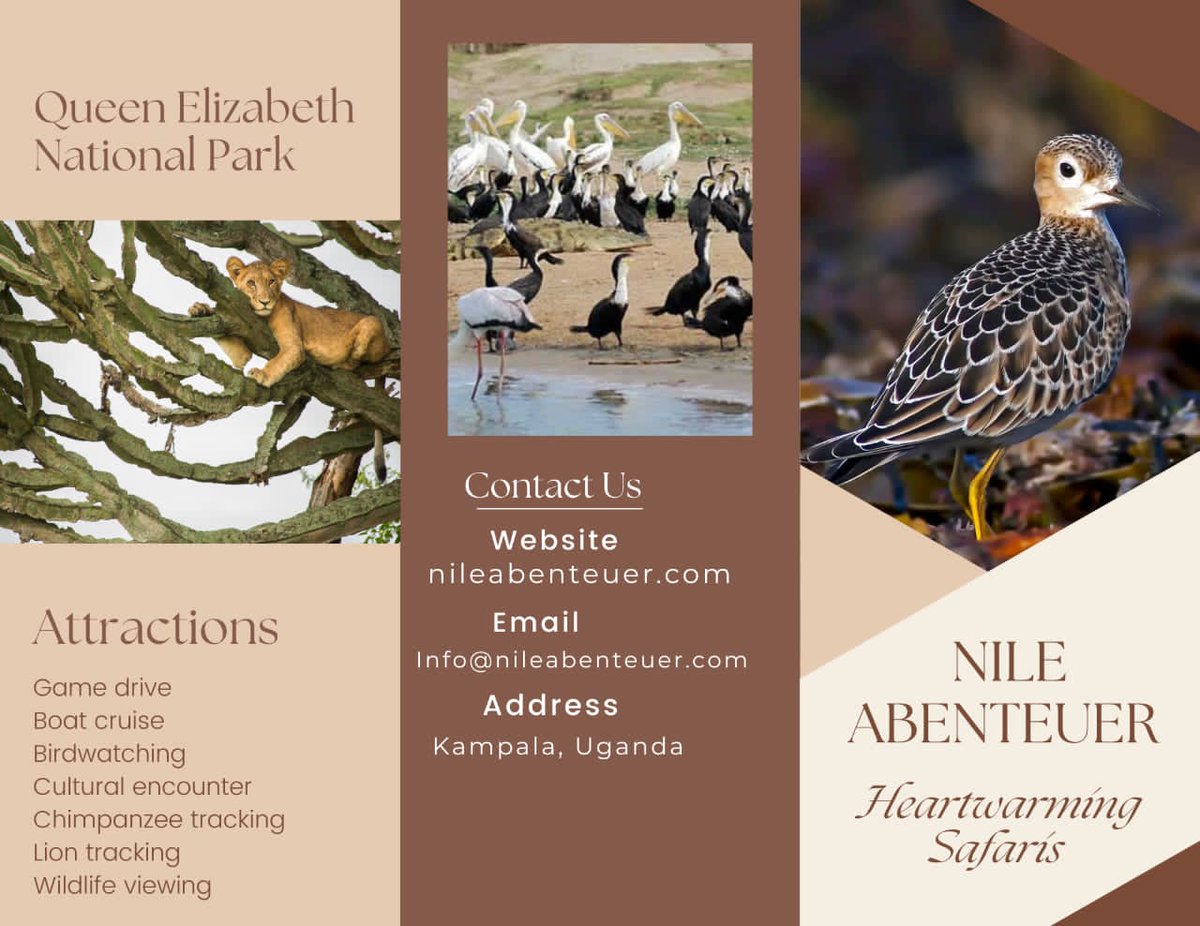 Book a trip to Queen Elizabeth National park with Nile Abenteuer Safaris Today. #heartwarmingsafaris #Visituganda #wildlifeconservation