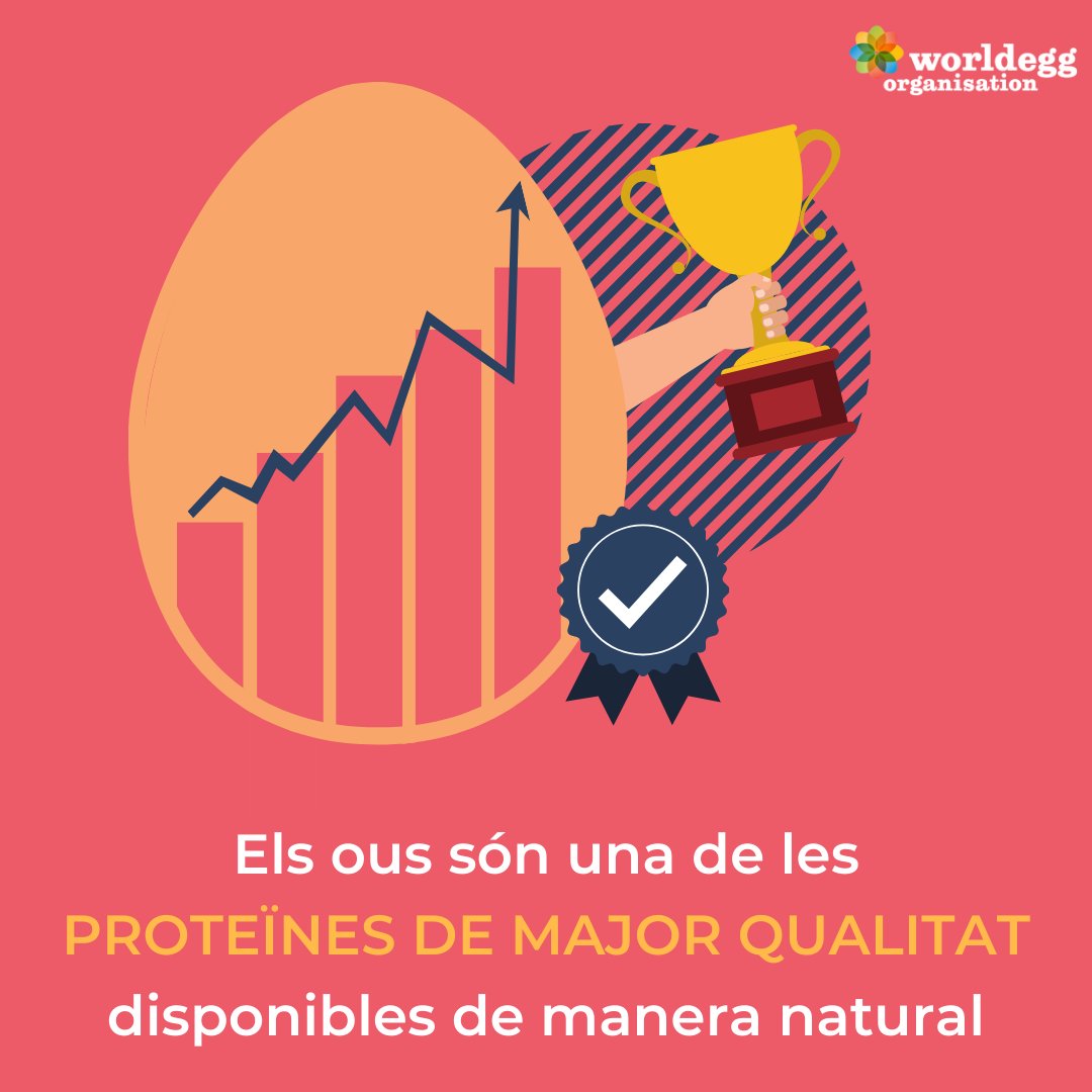 Ahir, dia Mundial de la Salut, celebrem-ho tot l’any!