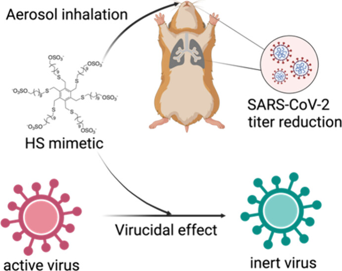 Our work, 'Benzene with Alkyl Chains, Is a Universal Scaffold for Multivalent Virucidal Antivirals' led by @yozhu_ ,@frstella is now out in @ACSCentSci 🤩🥳 Congratulations to the whole team 👏 Read the full paper 👇 pubs.acs.org/doi/full/10.10…