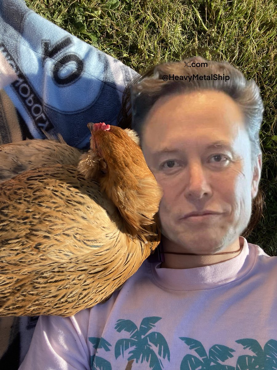 Elon: “I love chicken.” 💕🐔✨