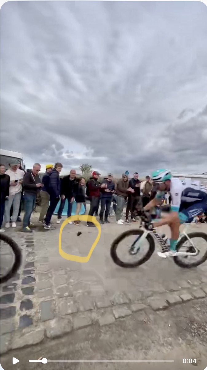 Sander De Pestel tweet media