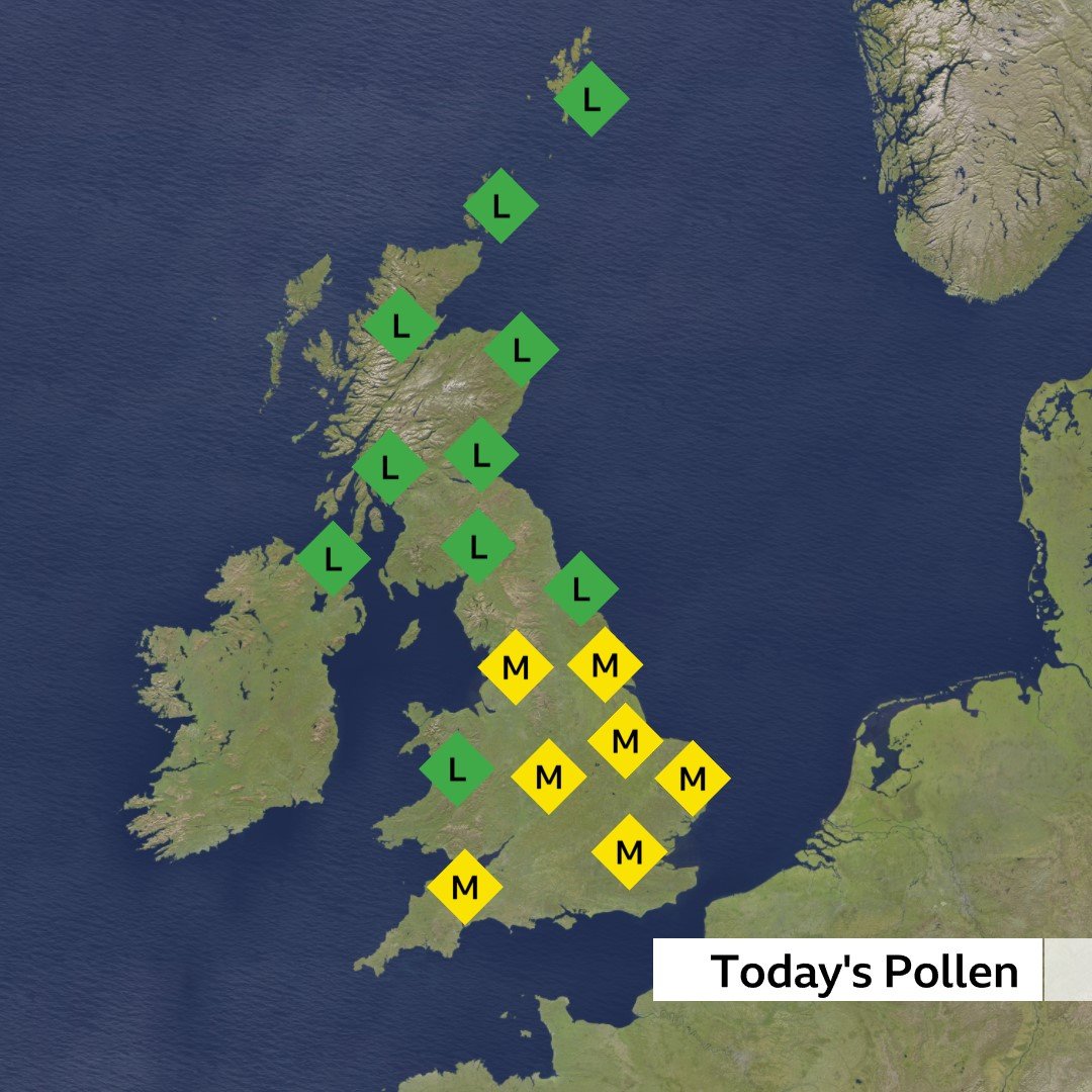 Today's pollen forecast. We are talking tree pollen at the moment - especially birch tree, but now starting to see some ash tree in there too @BBCBreakfast xxx