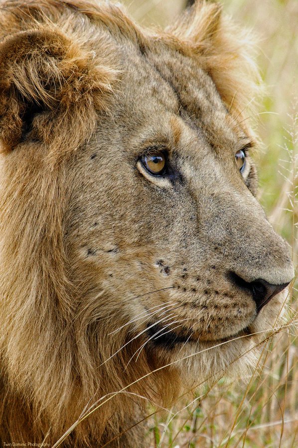 Goodmorning World from #Uganda the Pearl of Africa. 📍Queen Elizabeth National Park #BeautiesOfUganda❤️ #ExploreUganda 📸 Courtesy