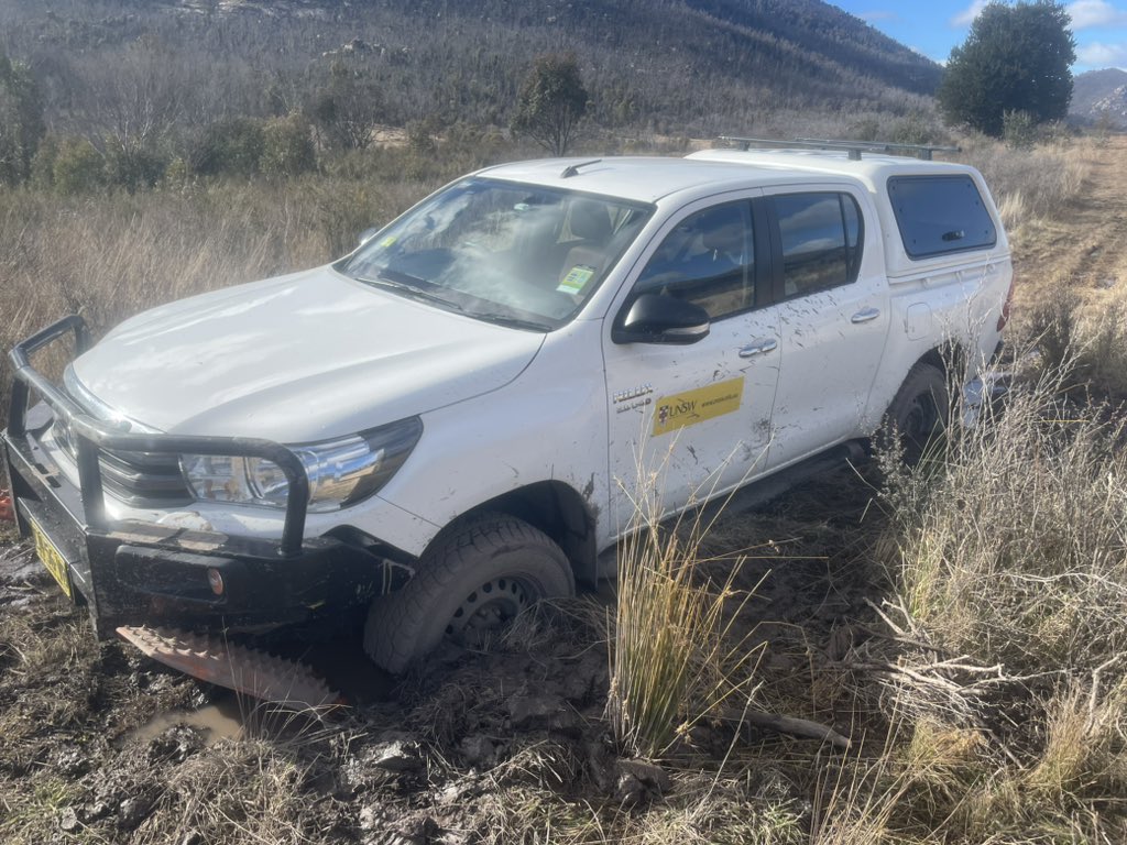 James Vandersteen tweet media