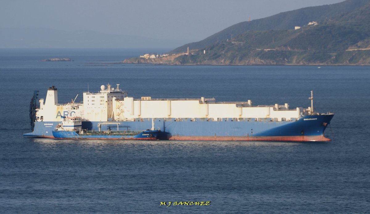 US MSP military useful ship vehicles carrier MV Endurance anchored in the Bay of #Gibraltar taking on bunkers this morning #OPWest