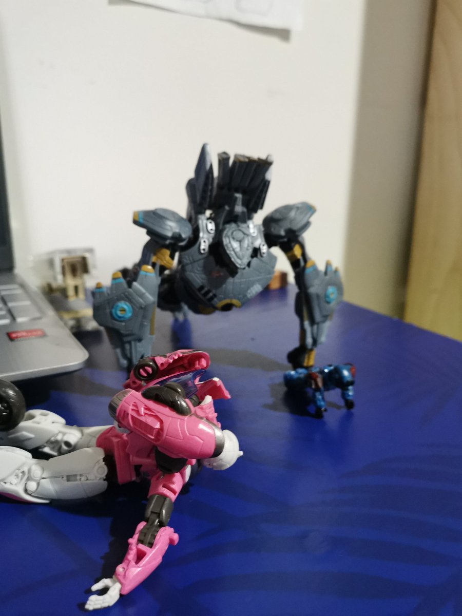 I don't think Arcee can do push-ups