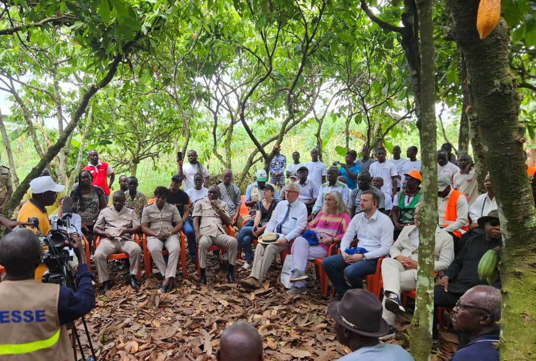 Deforestation is a complicated challenge & we're stepping up our support to 🇨🇮Côte d’Ivoire with: €50M in new budget support €15M for forestry through the PASSAD programme. An @EIB loan of approx. €150M in preparation. € 2,4M project with @Eurochambres on #CSR.