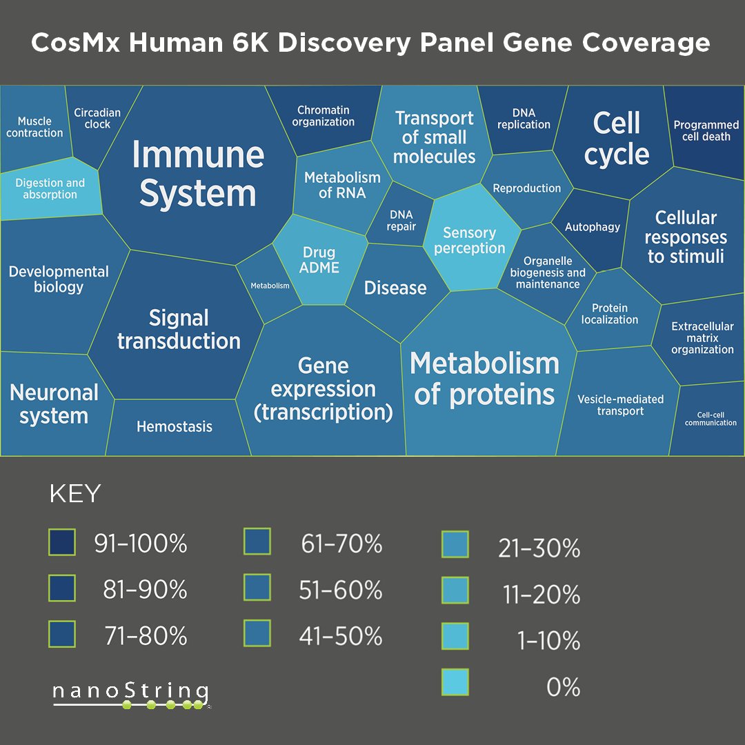 🚀CosMx SMI is the FIRST spatial imager to do single-cell imaging of over 6,000 genes. 👉bit.ly/3Ryabxk This post may include CosMx™ SMI products for RNA detection, which are not available in the Federal Republic of Germany, as described here: bit.ly/3x2IoNa.