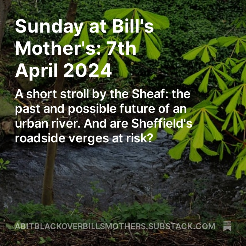 Latest from the 🏞️🏃🚴🏃‍♀️🦉🗞️notpaper for @theoutdoorcity #Sheffield - selling off our verges & opening our urban rivers - Ta @Sheaf_Porter_RT open.substack.com/pub/abitblacko…