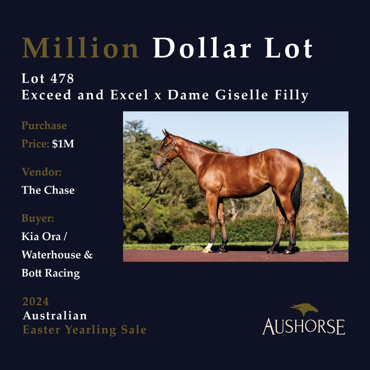 We've hit the million dollar mark again with Lot 478 - a gorgeous filly by Exceed and Excel out of multiple Group Two winner, Dame Giselle. #InglisEaster
