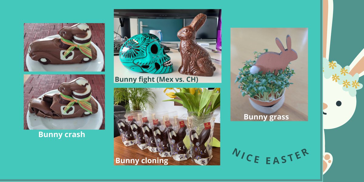nanointercell's tweet photo. On our NICe series: NICe Easter! 🐰🌻Our NICe members enjoyed tons of chocolate bunnies during the break. Now, back to work! #EasterBunny #ChocolateScience https://t.co/Z2mI0pV1bv