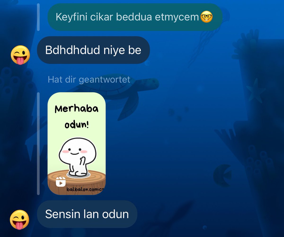 O kadar alışmışki niye diye soruyor🤣 Ayrıca kendi ağzınla söyledin odun olduğunu 🪵😌@kusagi_z7