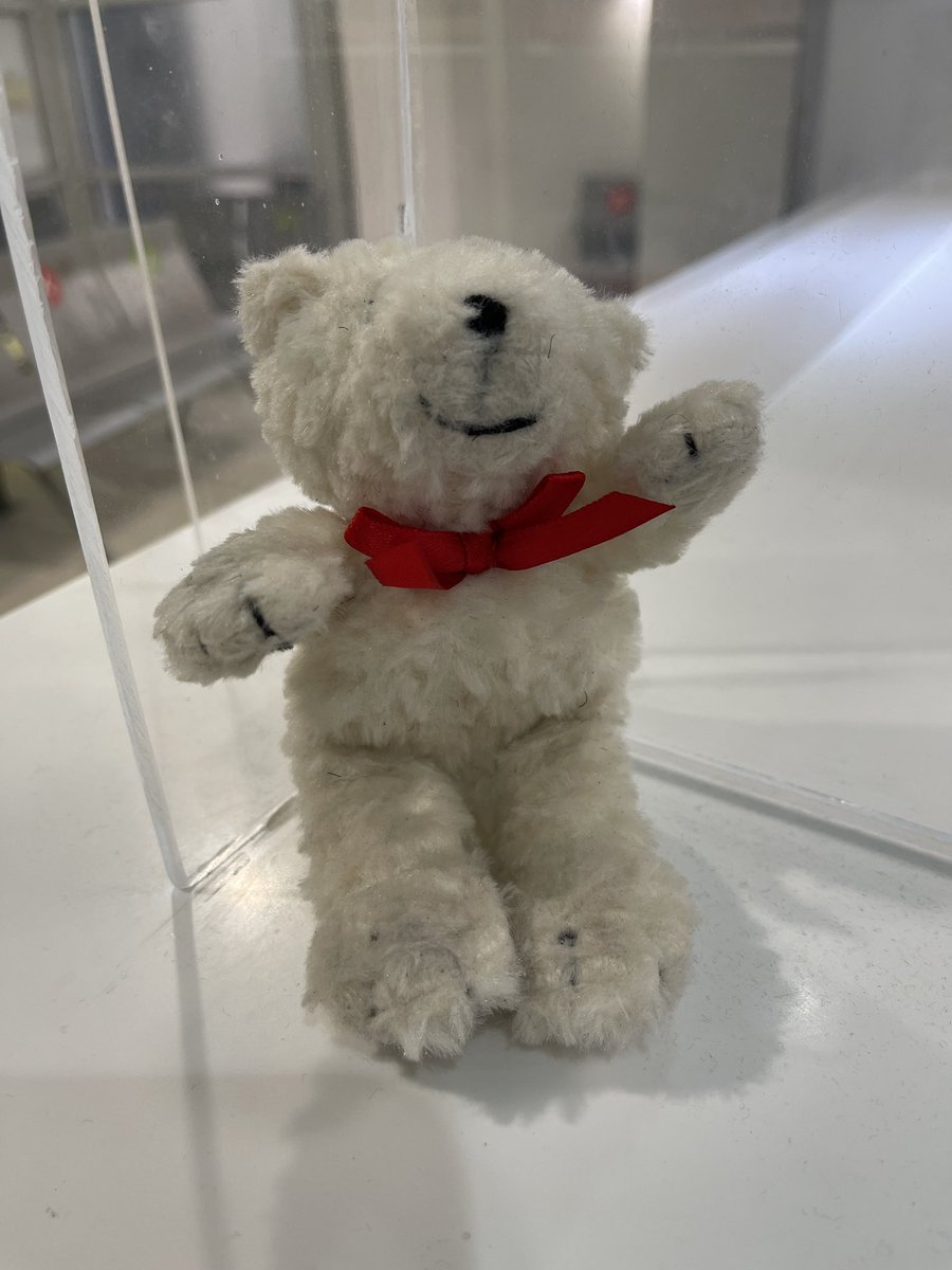 Anthony Scala tweet media