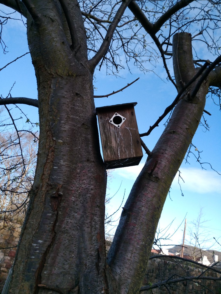 This Sunday April 14th 10-2 Bird box building for Inch Park. Tools and materials supplied. Bridgend Farmhouse workshop 4. #FriendsofInchPark #BridgendFarmhouse. Drop in and build a birdbox for the park.