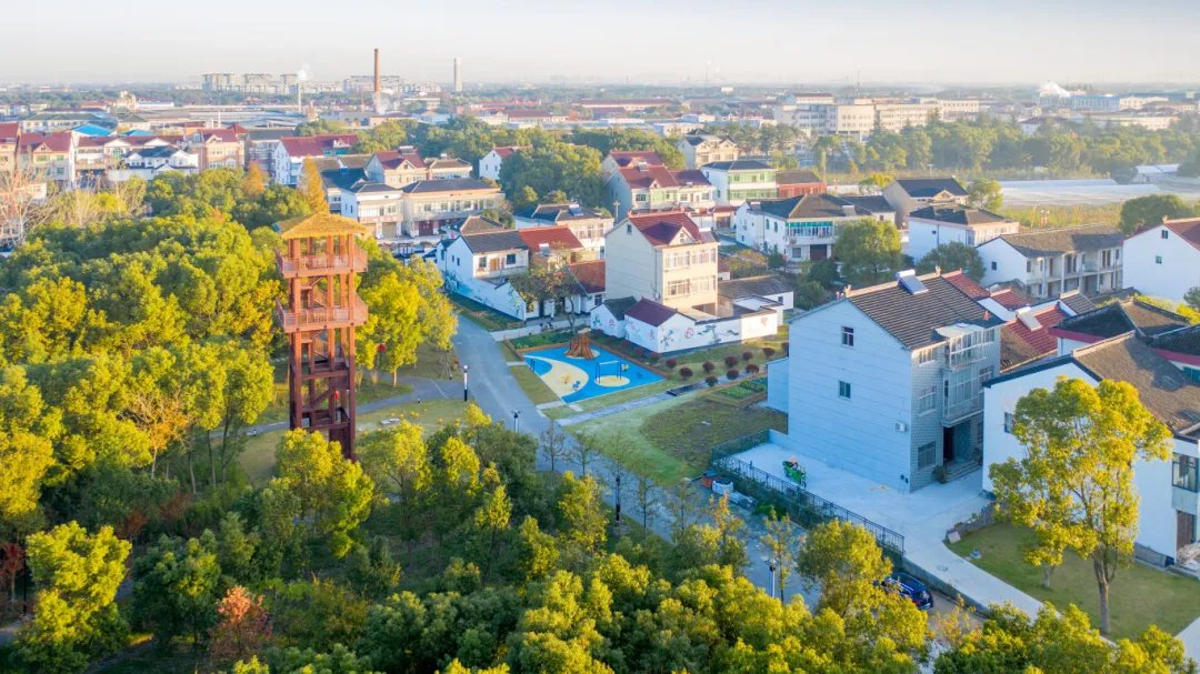 DiscoverWujiang's tweet photo. In #Wujiang, Suzhou, #ruralvitalization and agricultural modernization are accelerating, shaping a beautiful countryside while enhancing locals' lives. This sustained progress has secured Wujiang a top ranking in Jiangsu province for three consecutive years. #WujiangDevelopment https://t.co/RsiIDCdhmu