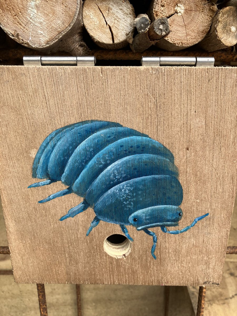 Jane Martin 💙 (@janecandose4) on Twitter photo The bug hotel at the beautiful <a href="/CroftonGarden/">Crofton Park Railway Garden</a> 🐞🪲🐝🐜is now complete with some lovely wooden boxes painted. Let’s hope the insects appreciate the hotel & enjoy their stay! #ABugsLife #HappyDays The bug hotel at the beautiful <a href="/CroftonGarden/">Crofton Park Railway Garden</a> 🐞🪲🐝🐜is now complete with some lovely wooden boxes painted. Let’s hope the insects appreciate the hotel & enjoy their stay! #ABugsLife #HappyDays