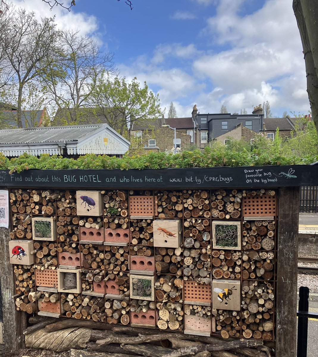 Jane Martin 💙 tweet media