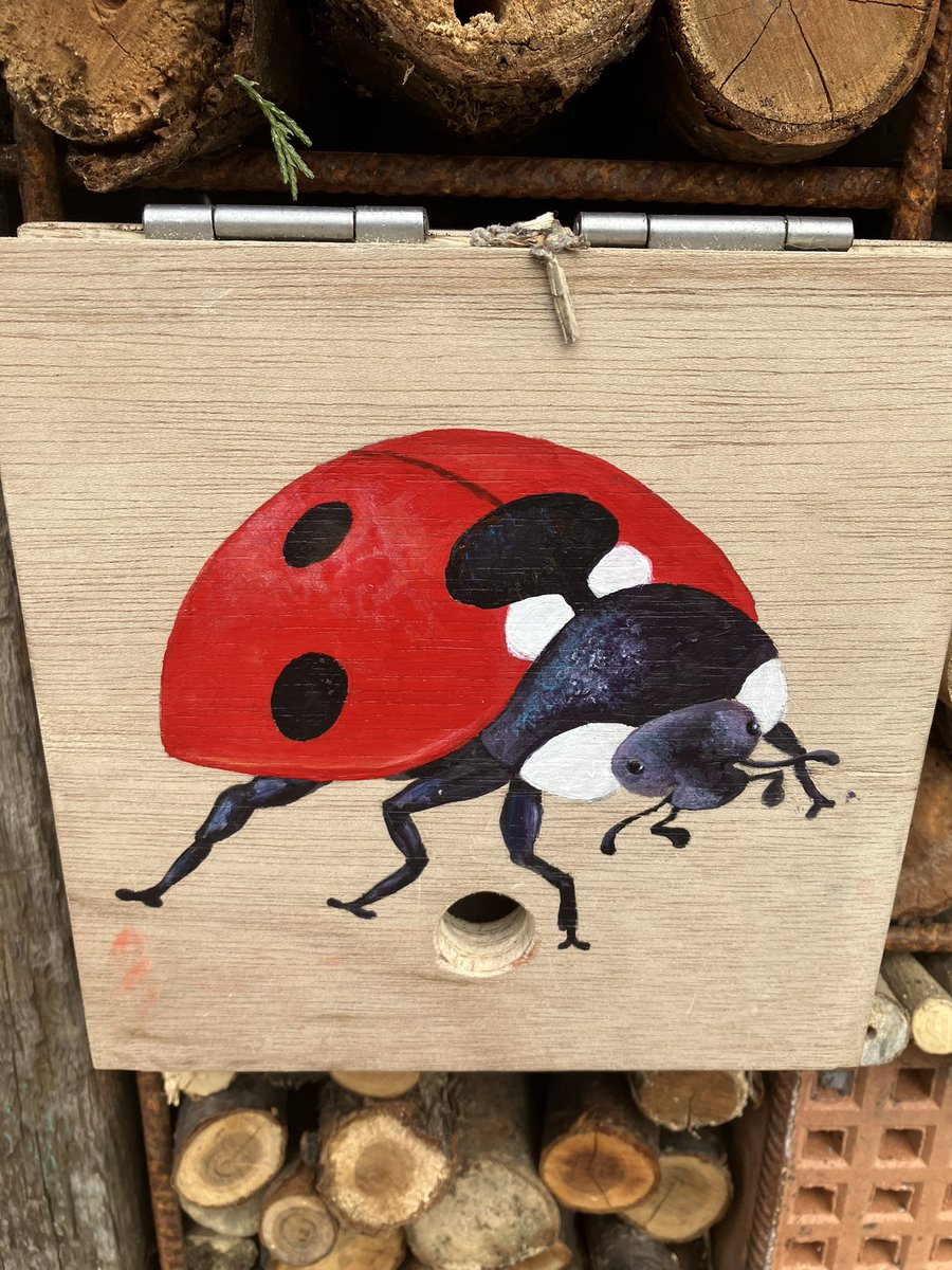 Jane Martin 💙 tweet media