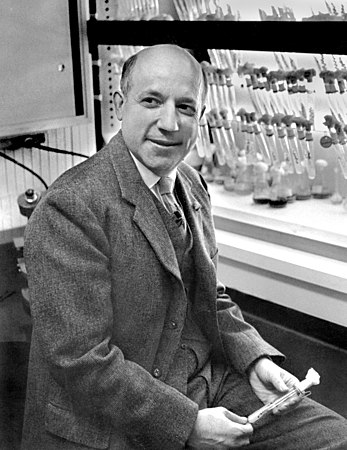 #Taldiacomavui (1911) naixia el bioquímic Melvin Calvin, descobridor del cicle que porta el seu nom, premi Nobel de química el 1961: ca.wikipedia.org/wiki/Melvin_Ca… #història #ciència #química