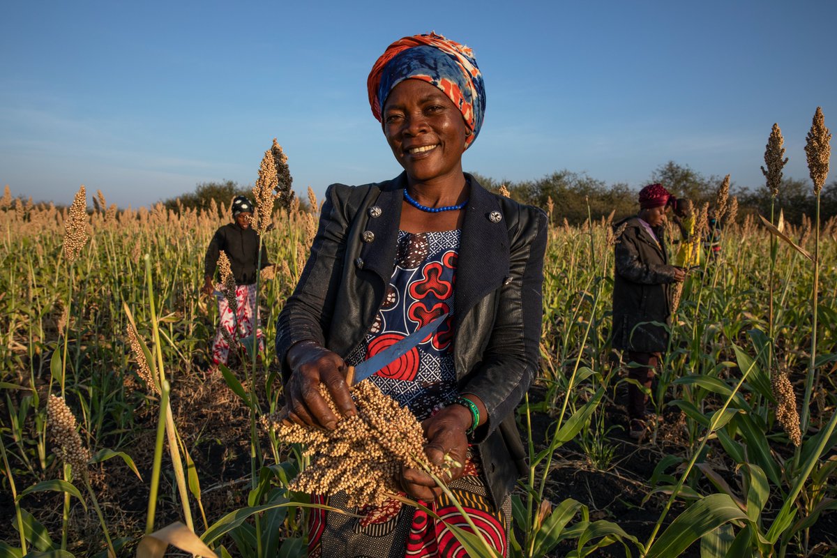 Our Annual Country Report is out 👇🏽 shorturl.at/gmpC6. What a year for @WFP_Tanzania! Many achievements supporting national priorities, great partnerships & generous support from 🇧🇷 🇨🇦 🇨🇳 🇪🇺 🇩🇪 🇮🇪 🇯🇵 🇳🇴 🇶🇦 🇰🇷 🇸🇪 🇨🇭 🇺🇸 🇹🇿 🇺🇳 & Private Sector.