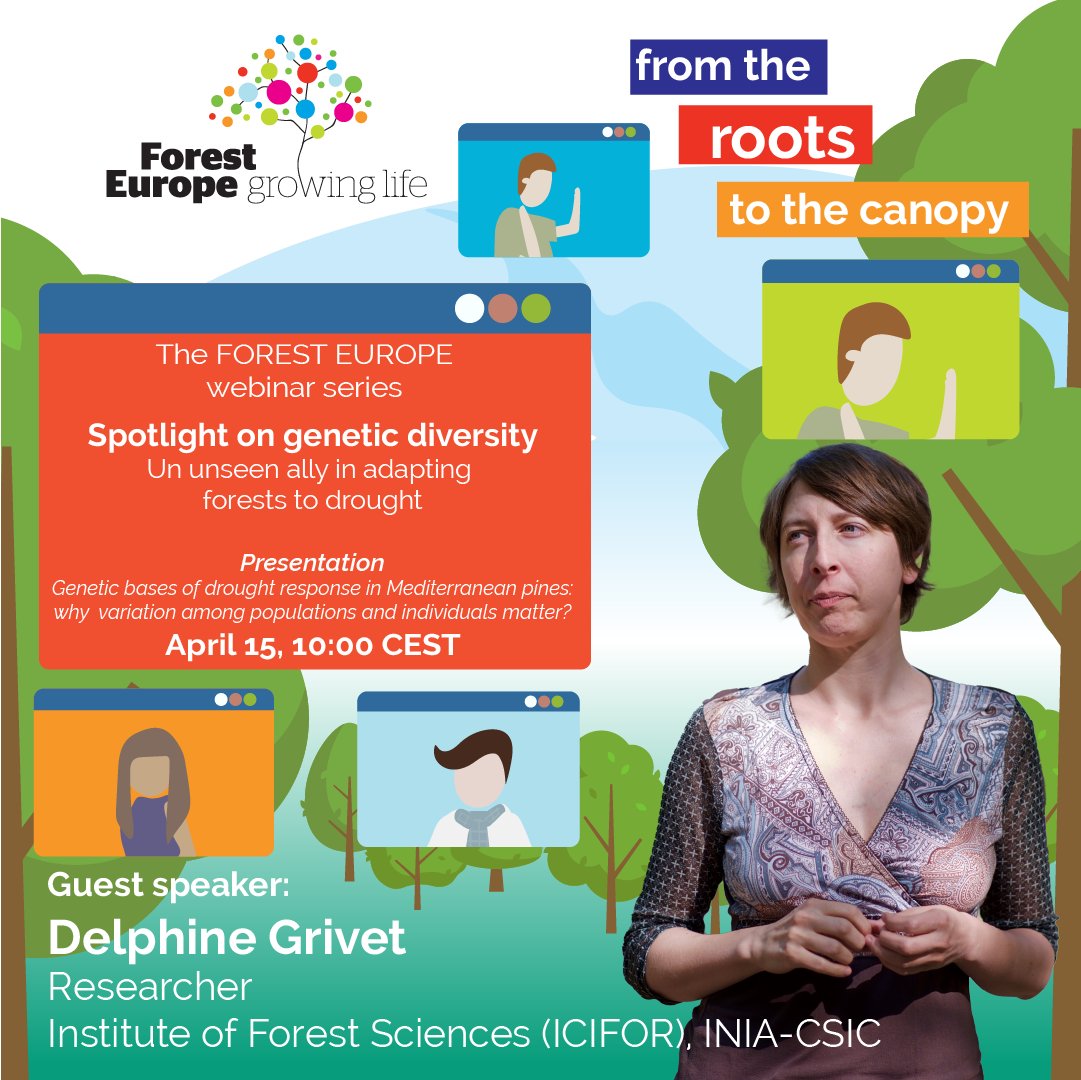 👩🏻‍🔬 Meet our speakers! 👩🏻‍🏫 Join Delphine Grivet & Aida Solé-Medina in investigating the genetic diversity among and within tree species. We'll learn how this knowledge can be applied in management practices to overcome the climatic crisis in our forests➡️ youtube.com/foresteurope/l…